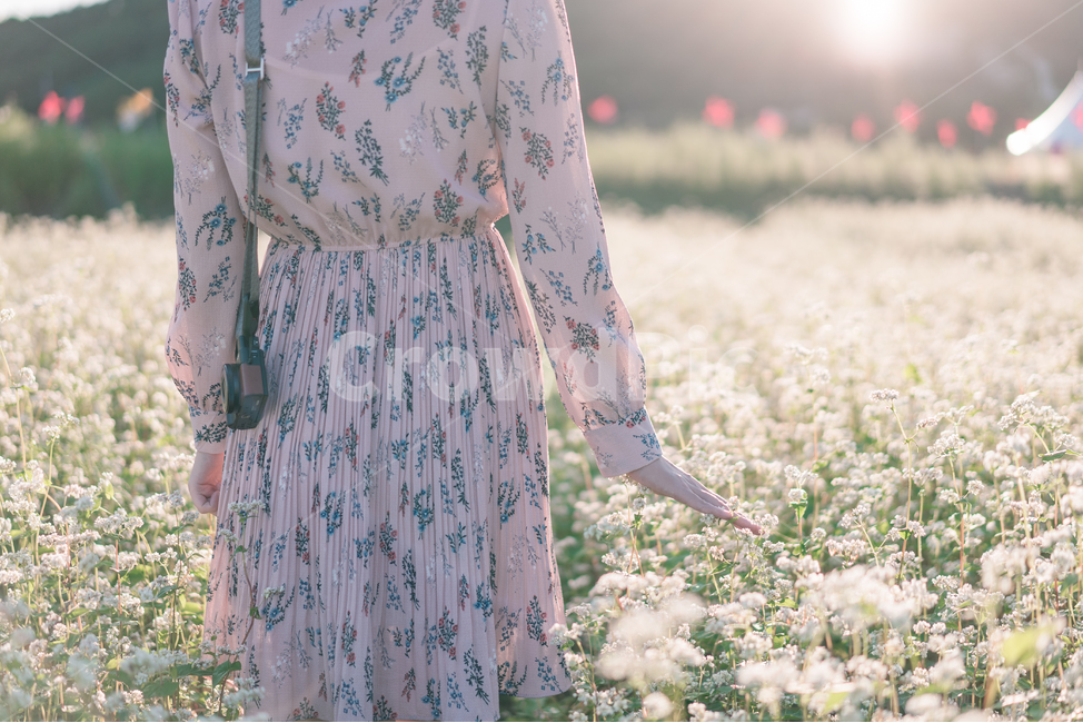 메밀꽃,가을,따뜻함,일몰,연분홍색,핑크색,원피스,우아한,beautiful,예쁜,화려한,정원,garden,계절,season,자연,plants,nature,꽃,flower,가을,계절,fall,autumn,season,사람,인물,인간,human,person,여성,여자,woman,female,lady,패션스타일,의상,fashion,style,사진작가,포토그래퍼,photographer,감성,sensible,feeling,휴식,힐링,rest,relaxation,healing