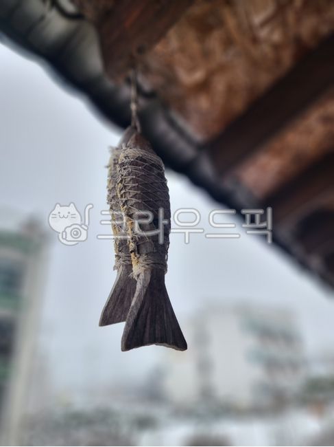 Backwards,eaves,fish,Jarin Gobi,suspended