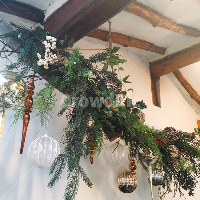 plant,식물,장식,인테리어,소품,식물,자연,plants,nature,인테리어,실내디자인,interior design