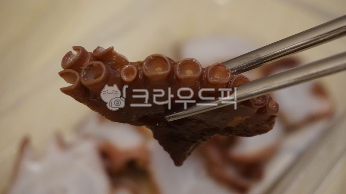 Octopus Slice,Drink snacks,octopus,snack,octopus leg