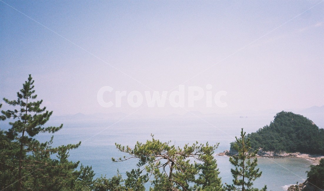필름,필름사진,film,바다,sea,자연,nature,섬,island,나무,자연,풍경,nature,landscape