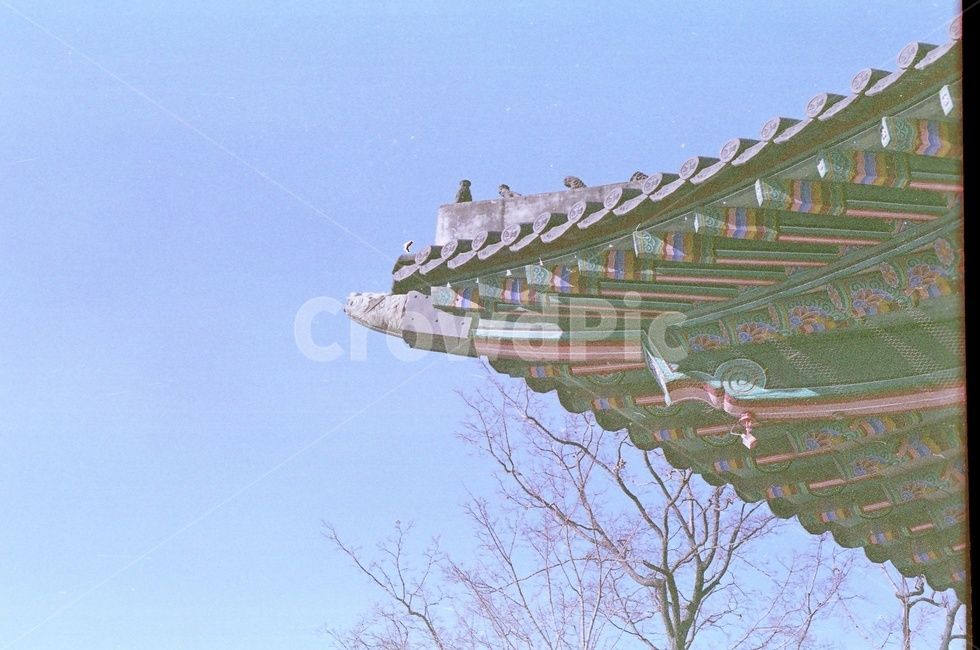 덕수궁,빈티지,필름사진,건축물,filmphotography,filmcamera,올드필름,필름카메라