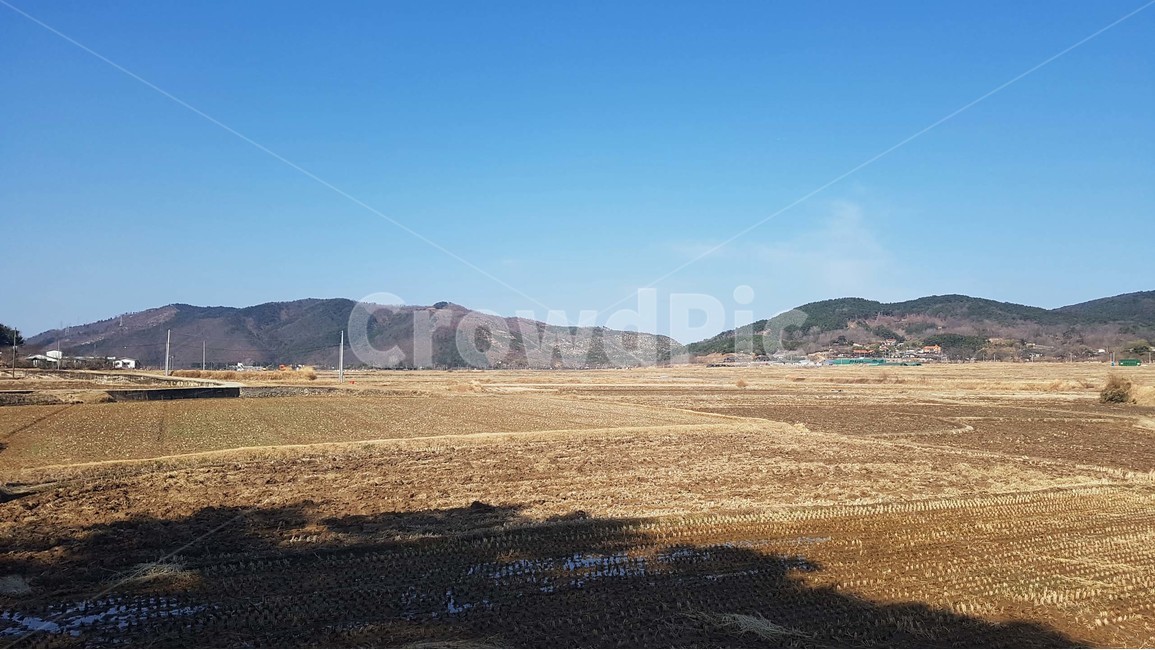 들판,논,밭,허허벌판,시골,나무,하늘,자연,소나무,잎,풍경,식물,배경,가지,초록색,파란색,자연,풍경,nature,landscape,시골,마을,country,rural,town,ground,바닥,outdoors,옥외,road,도로,dirt road,흙길,gravel,자갈
