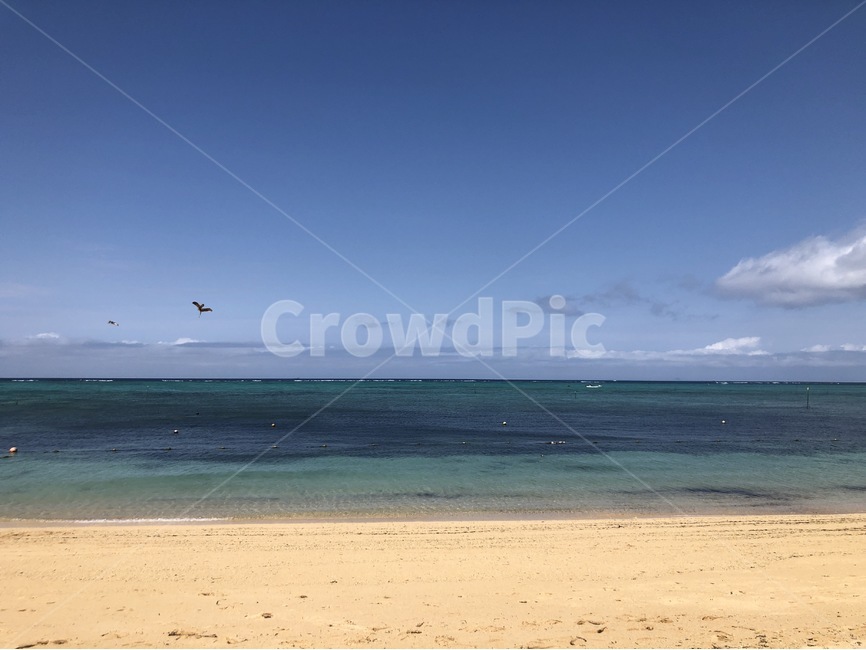 일본,오키나와,japan,okinawa,바다,해안선,water,물,outdoors,nature,자연,sea