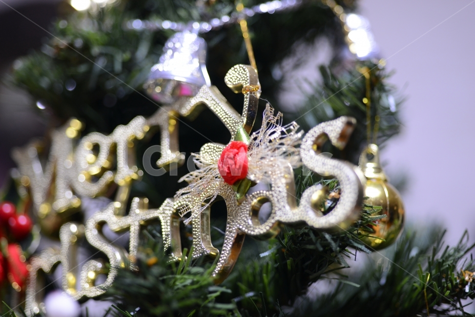 크리스마스,트리,장식,구슬,Christmas,ball,decoration,성탄절,겨울,계절,winter,season,기념일,축하,anniversary,congratulation,celebrate,celebration,메리크리스마스,성탄절,merry christmas,사물,물건,오브젝트,thing,object,matter