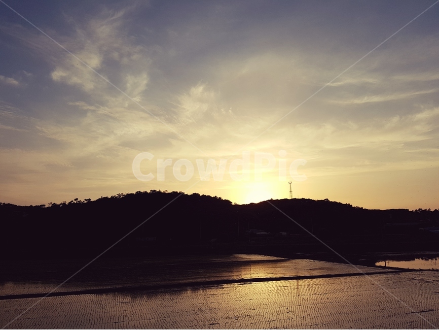 일몰,논,해,풍경,하늘,시골,자연,풍경,nature,landscape,실루엣,그림자,silhouette,shadow,flare,플레어,light,빛,outdoors,옥외,sunlight,햇빛