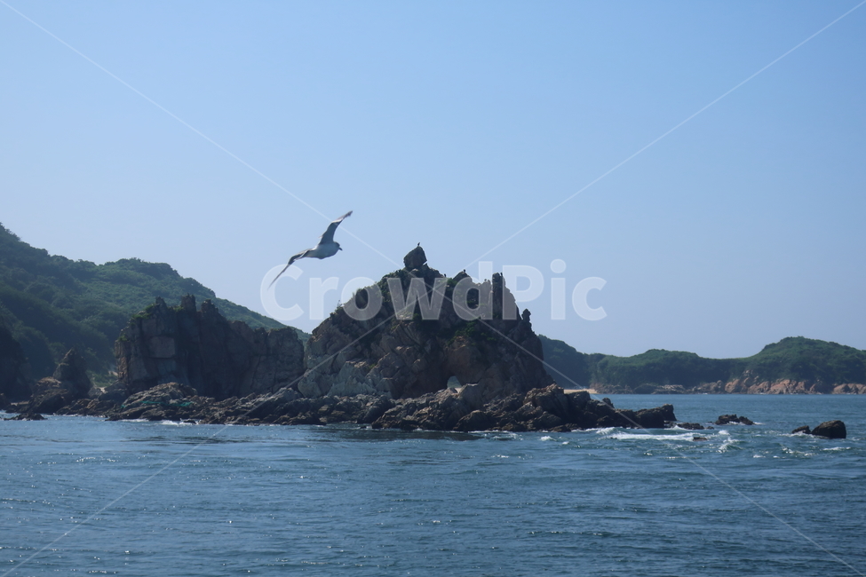 바다,섬,갈매기,풍경,자연,파도,자연,풍경,nature,landscape,outdoors,옥외,land,땅,shoreline,해안선,water,물,ocean,대양,sea,bird,새,animal,동물,promontory,곶