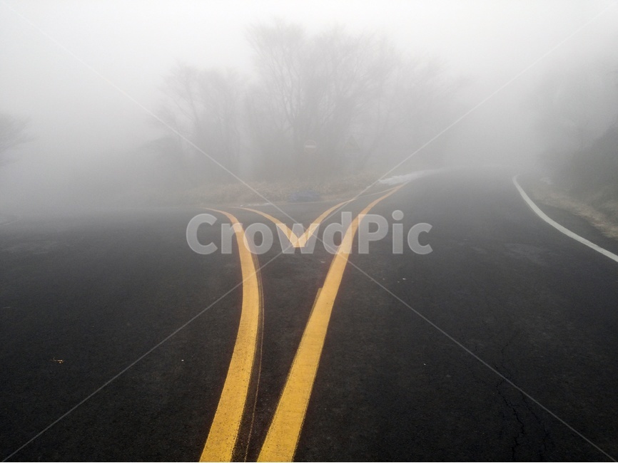 길,안개,안개도로,도로,갈림길,중앙선,나무,고민,갈래길,road,fog,안개속,짙은,짙은안개,감성,고요,교통,교통수단,traffic,transportation
