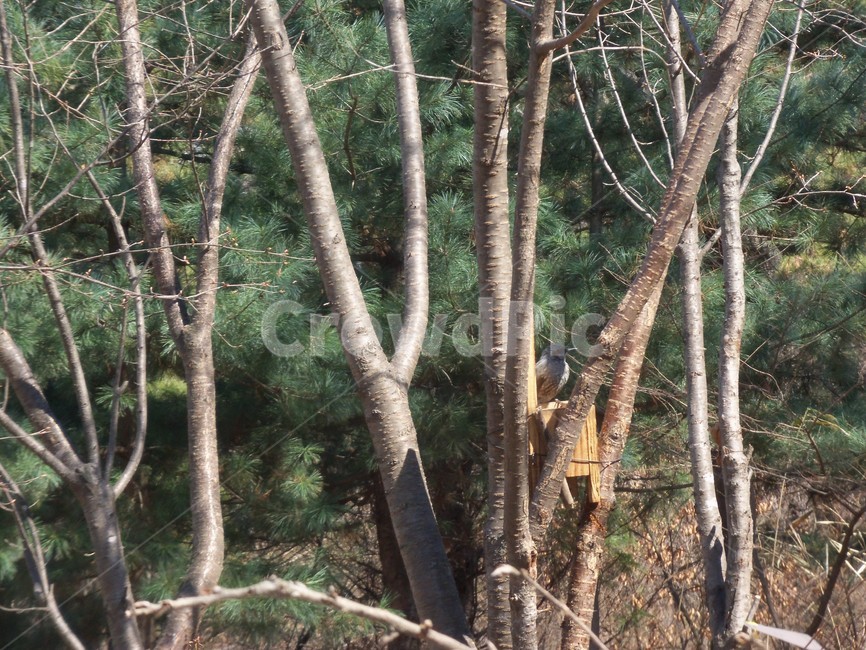 새먹이,먹이통,산새,산새먹이,새