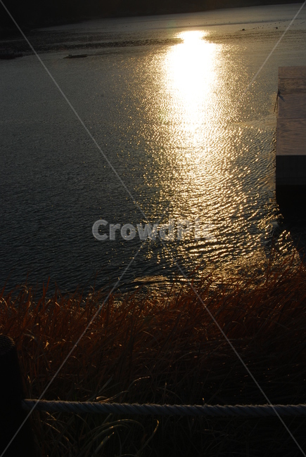 방파제,억새,가을,풀,낙엽,자연,풍경,nature,landscape,light,빛,flare,플레어,water,물