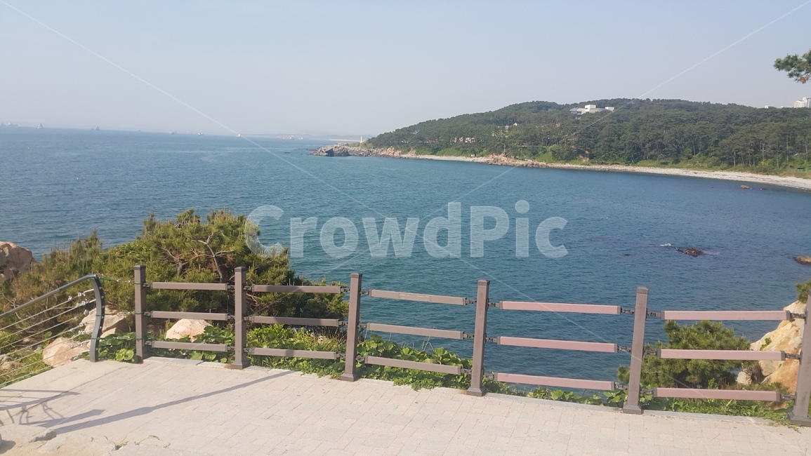 바다,자연,배경,풍경,산책로