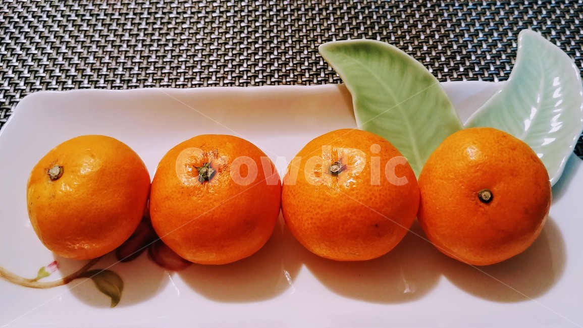 귤,과일,샐러드,간식,밀감,음식,식재료,요리,food,cook,meal,dishes,food reserves,과일,열매,fruit
