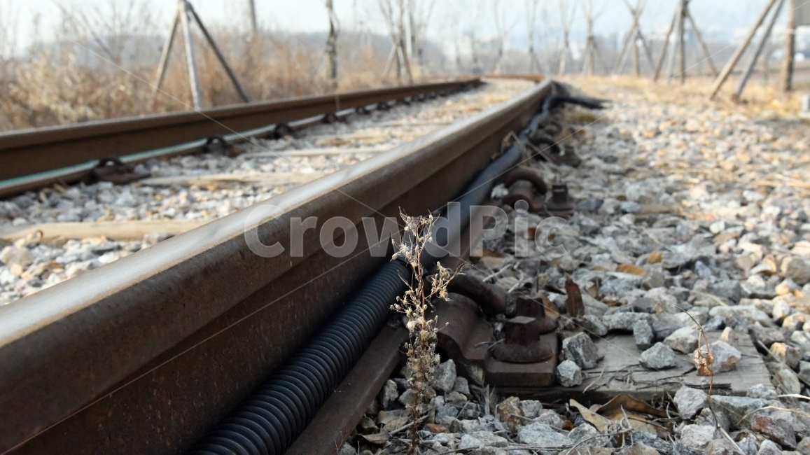 철길,겨울,배경,앙상,추위,교통,교통수단,traffic,transportation,railway,철도,train track,기찻길,rail,레일