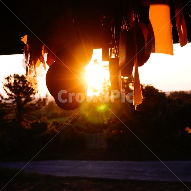역광,희망,새해,무술년,새로운시작,휴식,힐링,rest,relaxation,healing