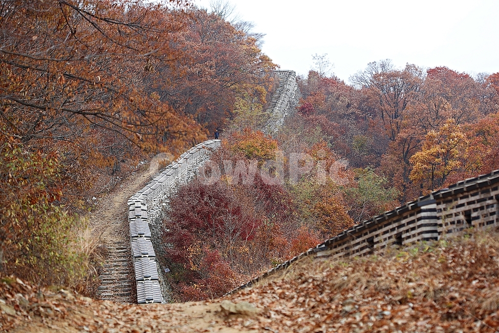 남한산성,성곽,성,단풍,낙엽,길,둘레길,숲,숲길,담,돌담,가을,자연,풍경,벽,울긋불긋,산성,식물,가을,계절,fall,autumn,season,dirt road,흙길,gravel,자갈,road,도로,ground,바닥,plant,tree,나무