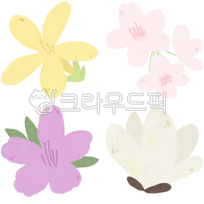Spring,spring flowers,spring flower drawings,spring flower illustrations,flower drawings,flowers,forsythia,cherry blossoms,azaleas,magnolias,forsythia drawings,cherry blossom drawings,azalea drawings,magnolia drawings,cherry blossom illustra