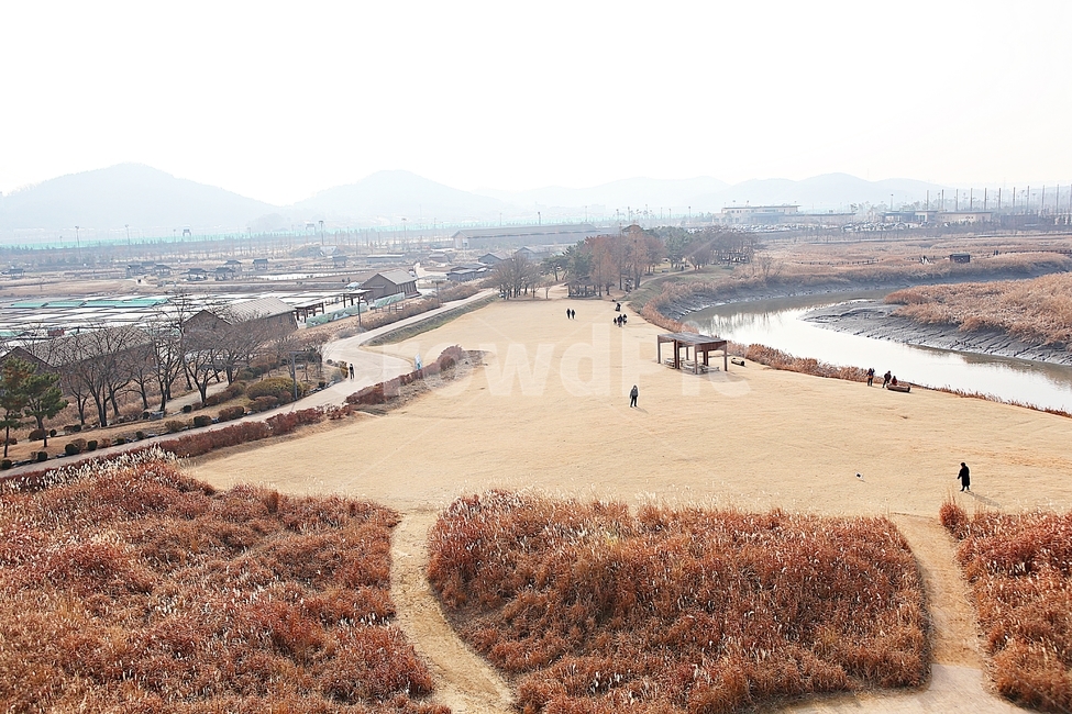 소래습지생태공원,갯골,뻘,갯벌,갈대,식믈,자연,풍경,잡초,풀,가을,바다물,생태공원,공원