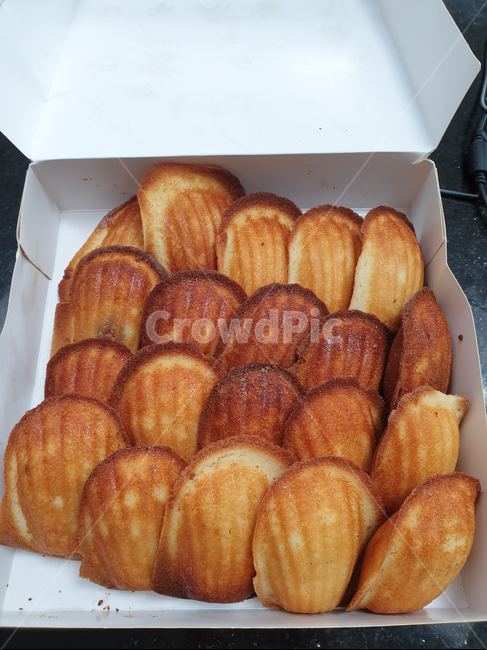 마들렌,빵,제과,쿠키,상자,종이상자,케이크,마들렌느