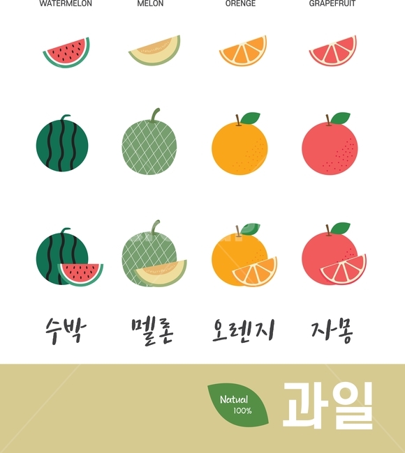 수박,멜론,오렌지,자몽,과일,그래픽,일러스트레이션,graphic,illustration
