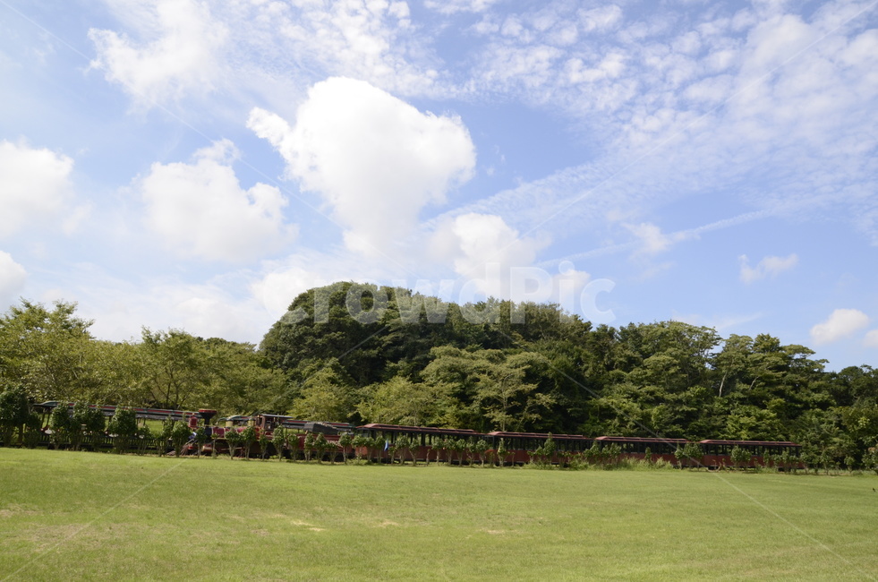 하늘,맑은날,구름,푸른,초록,공원,잔디,park,자연,풍경,nature,landscape