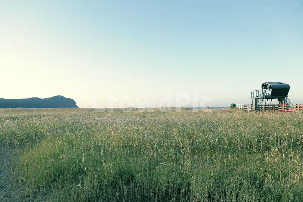 nature,자연,outdoors,다대포해수욕장,일몰,고우니생태길,자연,풍경,nature,landscape