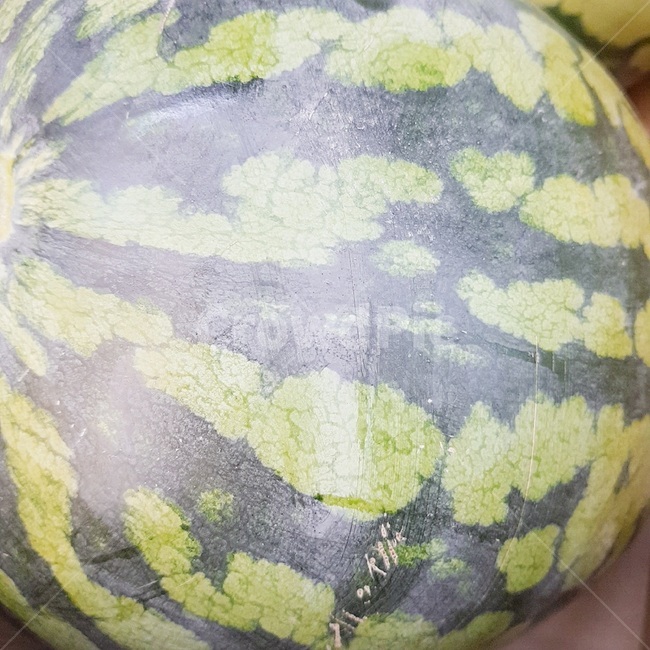 수박,여름과일,과일,워터멜론,watermelon