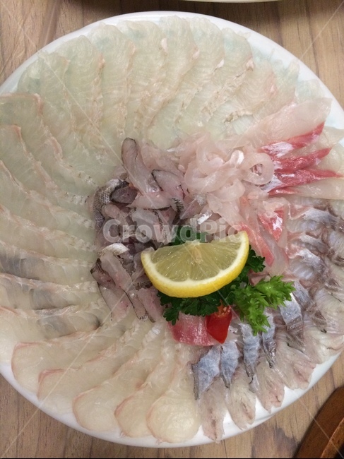 회,모둠회,광어,우럭,생선회