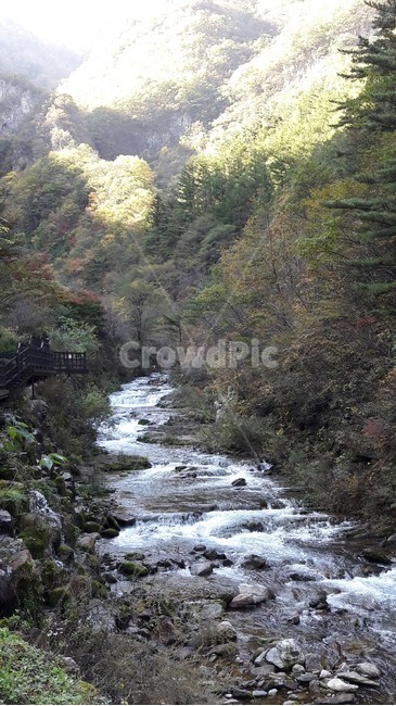 삼척,계곡,산,계곡물,햇살