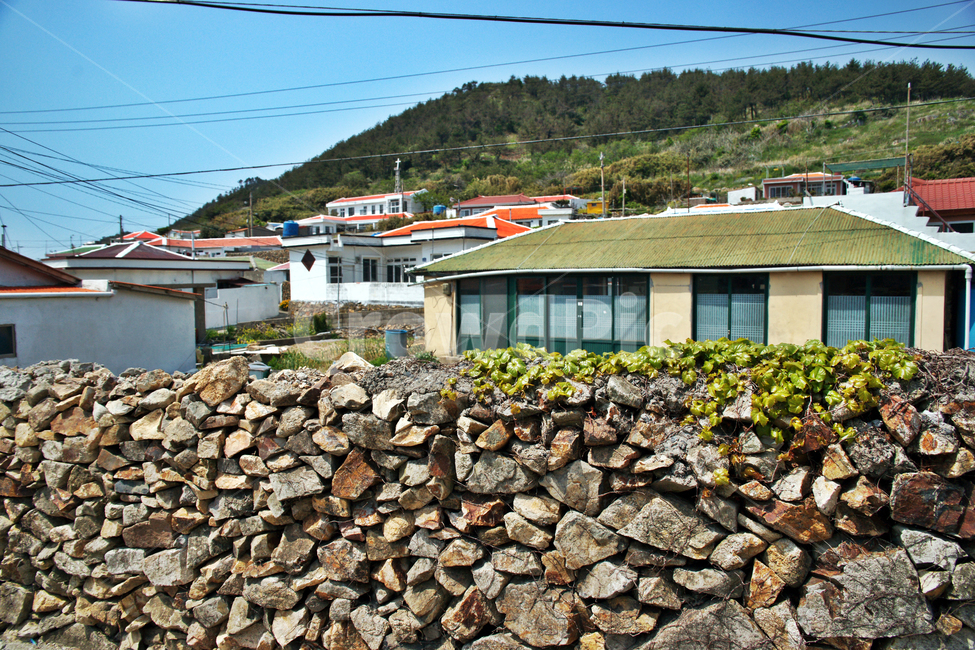 추자도,민가,마을,목리마을,하추자도,올레181코스,올레코스,제주,돌담,제주도,jeju,jeju island,시골,마을,풍경,landscape,country,rural,town