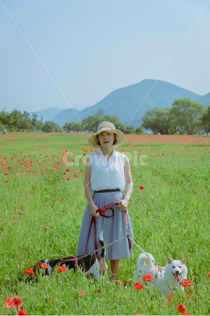봄,봄꽃,봄소풍,양귀비꽃,모자,봄패션,비글,시바견,애견,강아지,산책,봄,계절,spring,season,동물,animal,포유류,mammal,개,강아지,dog,doggy,사람,인물,인간,human,person,여성,여자,woman,female,lady,여행,휴가,traveling,vacation,trip
