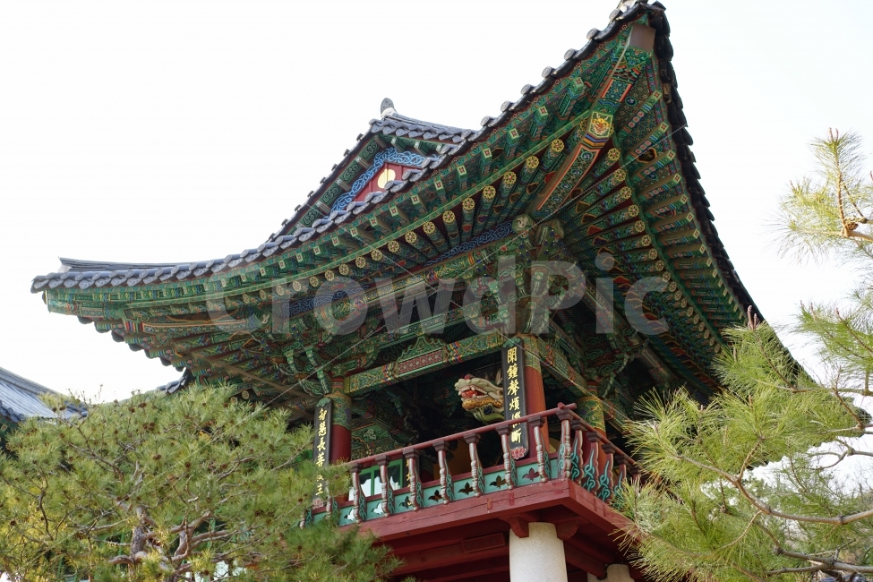 한옥,지붕,처마,정자,나무,사찰,한국,대한민국,한국적인,불교,종교,Buddhism,전통,한국전통,역사,한국역사,히스토리,history,문화,한국문화,culture,아시아,asia,동양,동양적인,korea,서울,seoul,유적,유적지,풍경,landscape,snap,snapshot,스냅,스냅샷,스냅사진,힐링,힐링사진,감성,감성사진,용마루,추녀마루,내림마루,단청,한국전통,한국문화,korean traditional,korean culture,종교,신앙,religion,belief,faith