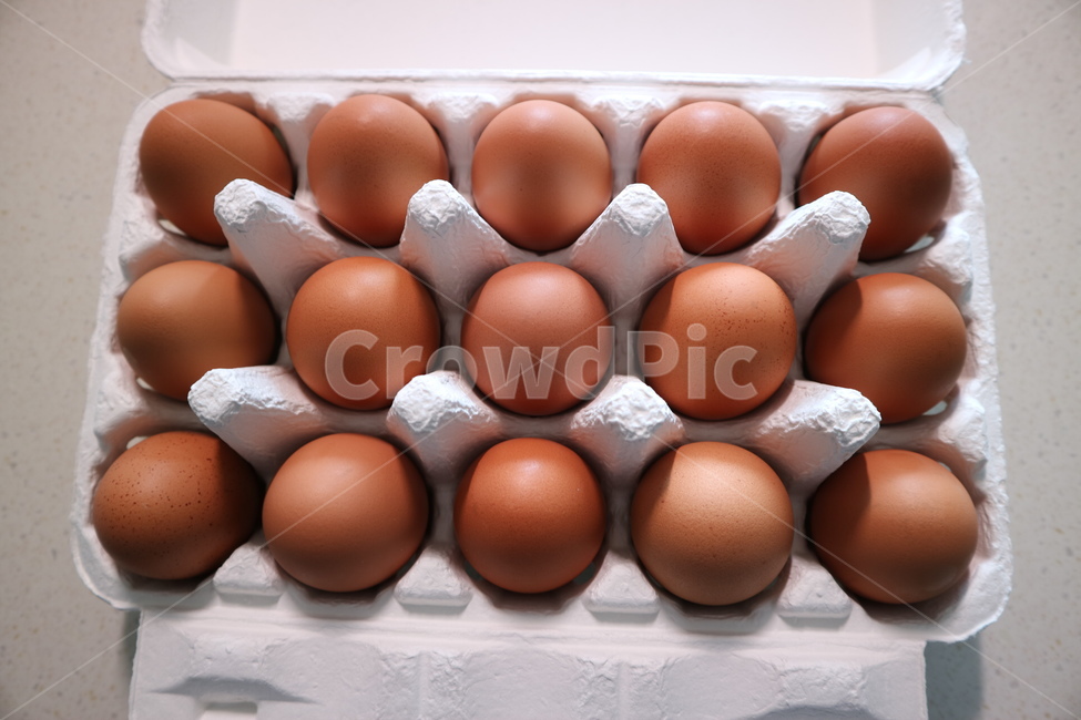 계란,달걀,생계란,날계란,식재료,식자재,요리,레시피,음식,반찬,알,닭,병아리,에그,앙계장,식품,식료품,cook,object,recipe,meal,food,음식,식재료,요리,food,cook,meal,dishes,food reserves