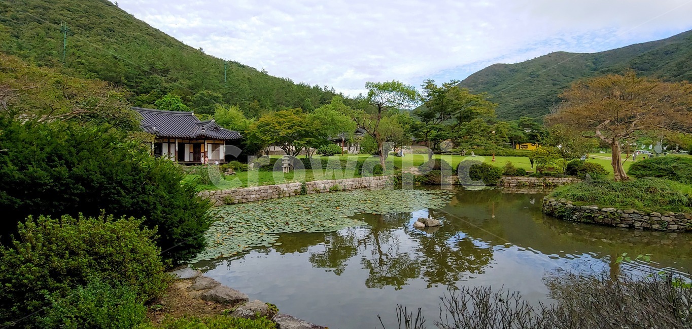 nature,자연,water,물,outdoors,옥외,한옥,정원,연못