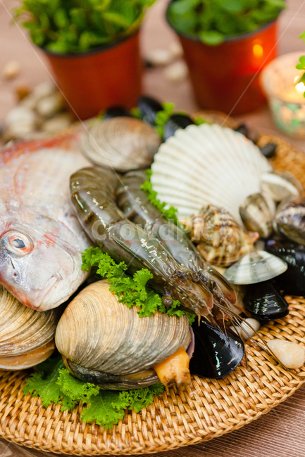 해물,대합,새우,가리비,해산물재료,음식,식재료,요리,food,cook,meal,dishes,food reserves,수산물,해산물,fishery products,seafood