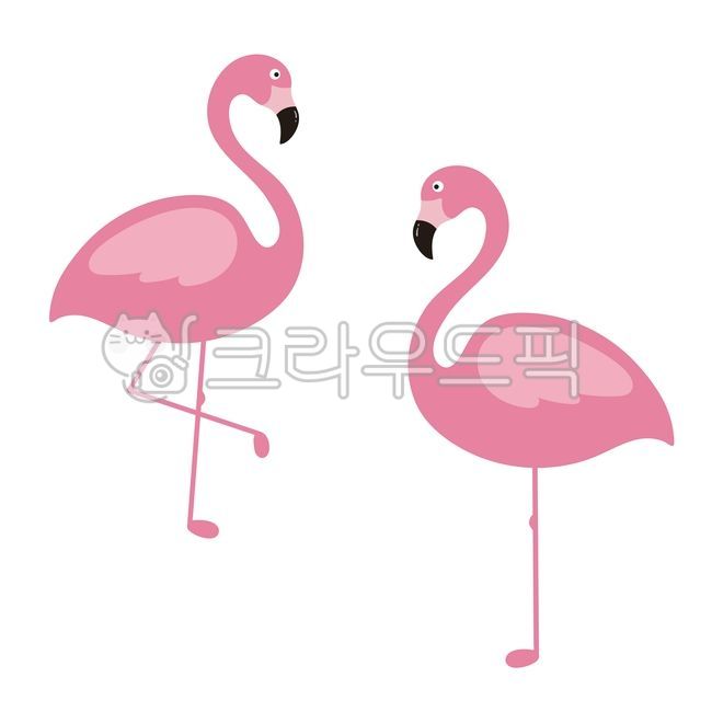 background,vector,illustration,summer,flamingo,design source