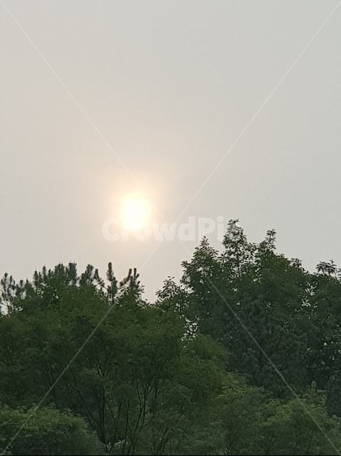 노을,하늘,해,나무,산