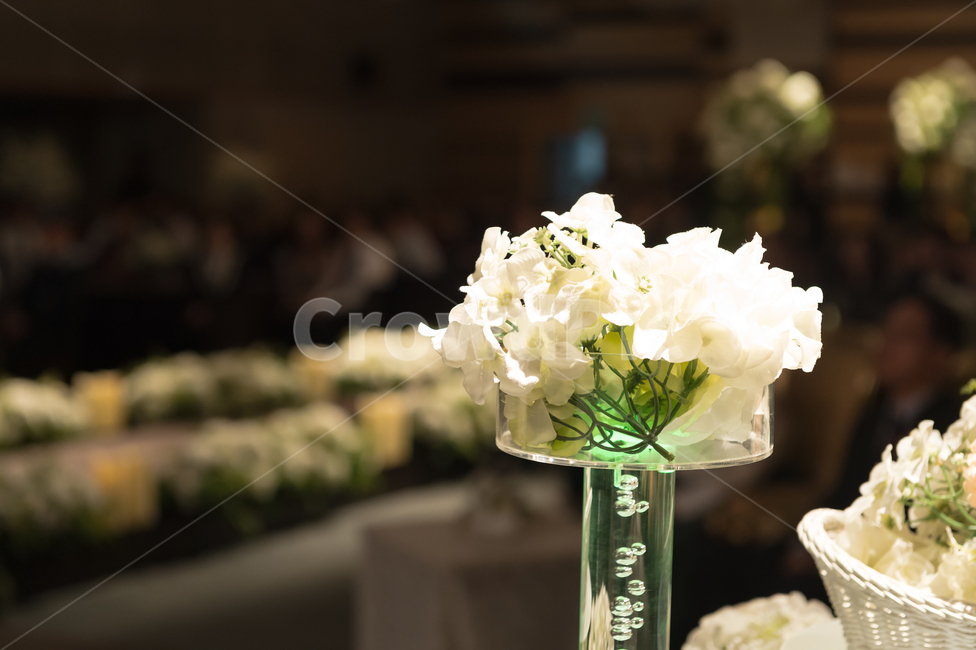 꽃,꽃병,녹색,줄기,흰색,빛나는,실내,접사,꽃,flower
