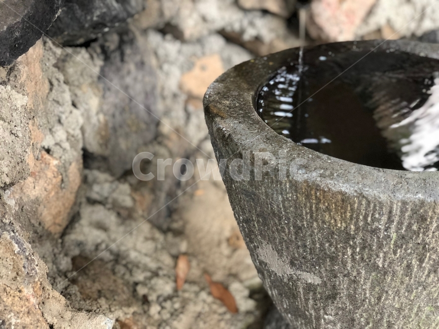 여름,낙엽,여름풍경,흐르는물,고인물