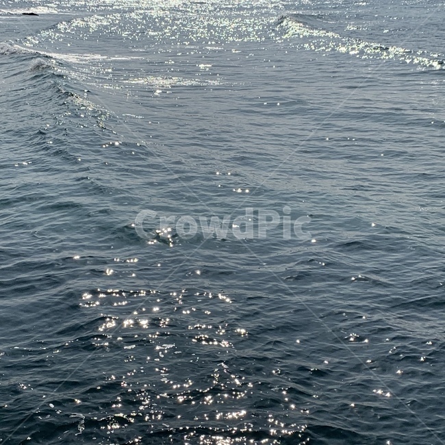 제주,제주도,제주바다,바다,해변,자연,풍경,nature,landscape,water,물,outdoors,옥외,sea,ocean,대양