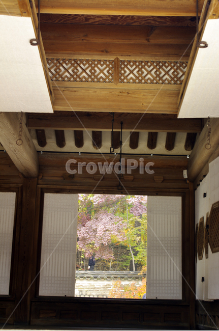 창덕궁,창덕궁후원,연경당,고궁,건축,전통건축,traditional,전통,한국전통,한국문화,korean traditional,korean culture,건축물,건물외관,exterior,building,structure,architecture,construction