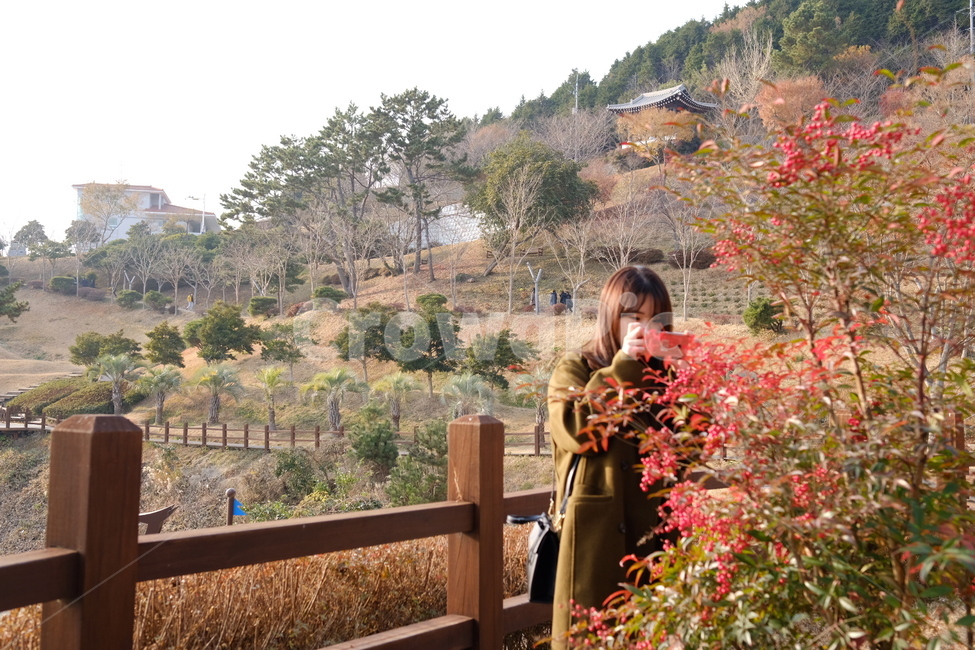 사람,통영,겨울,인물,사진찍는여자,person,lady,female,travel,자연,감성,여성,여자,여행,photographer,sensible,공원,해양공원,park