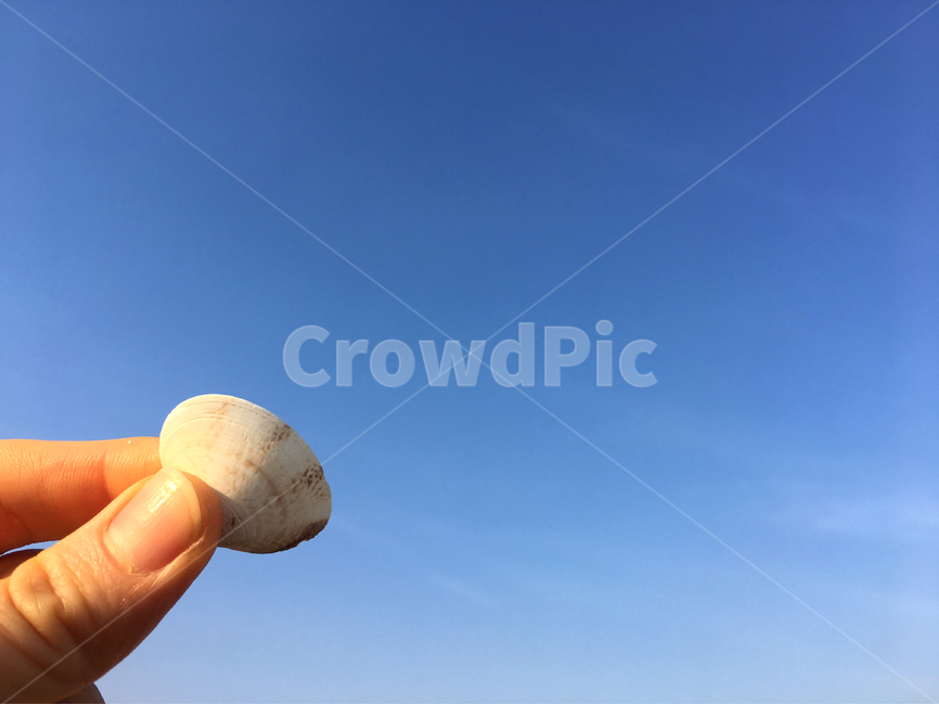 하늘,조개,바다,자연,풍경,sky,sea,clam,landscape,nature,자연,풍경,nature,landscape
