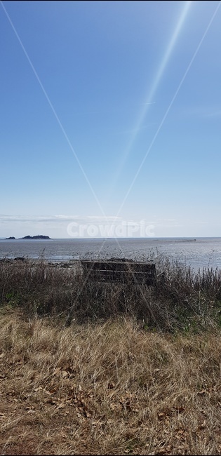 자연,여유,섬,벤치,독백,고독,외로움,희망,자연,풍경,nature,landscape,plant,식물,grass,잔디,land,땅,outdoors,옥외