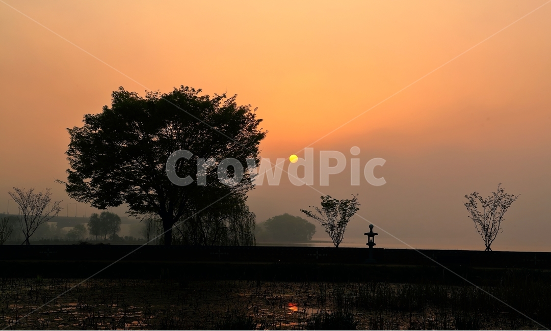 일출,아침,해,두물머리,양평,자연,풍경,nature,landscape,실루엣,그림자,silhouette,shadow,outdoors,옥외,sky,하늘,sunset,일몰,dusk,황혼,dawn,새벽,red sky,붉은 하늘
