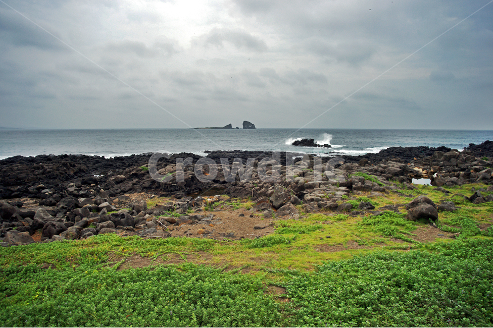 제주도,서귀포시,설쿰바당,사계리,형제섬,바다,자연,제주도,jeju,jeju island