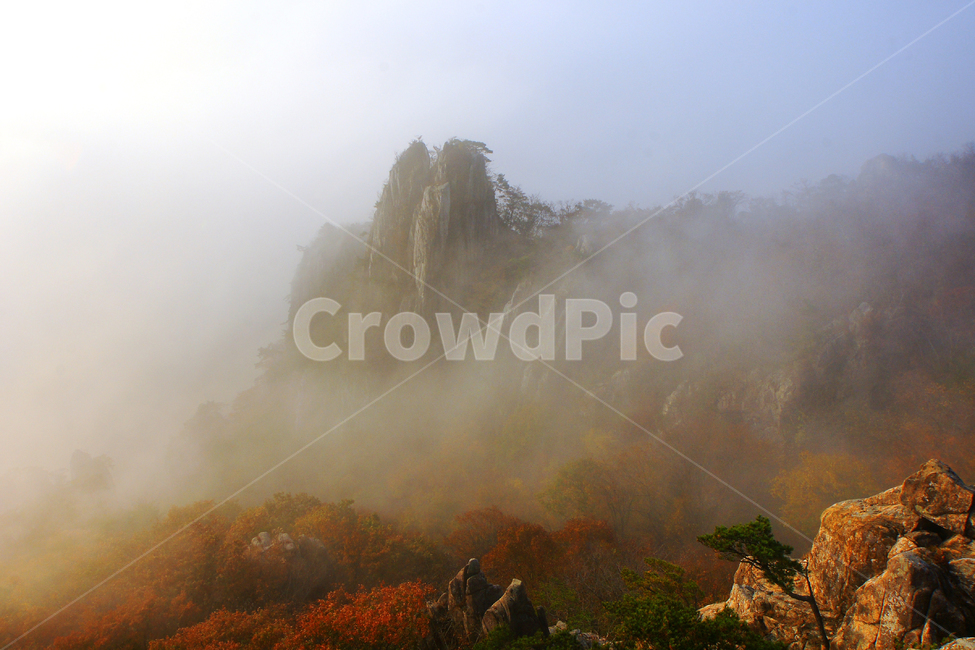 대둔산,장군봉,운해,일출,산,가을,단풍,가을,계절,fall,autumn,season,자연,풍경,nature,landscape,weather,날씨,outdoors,옥외,fog,안개,mist
