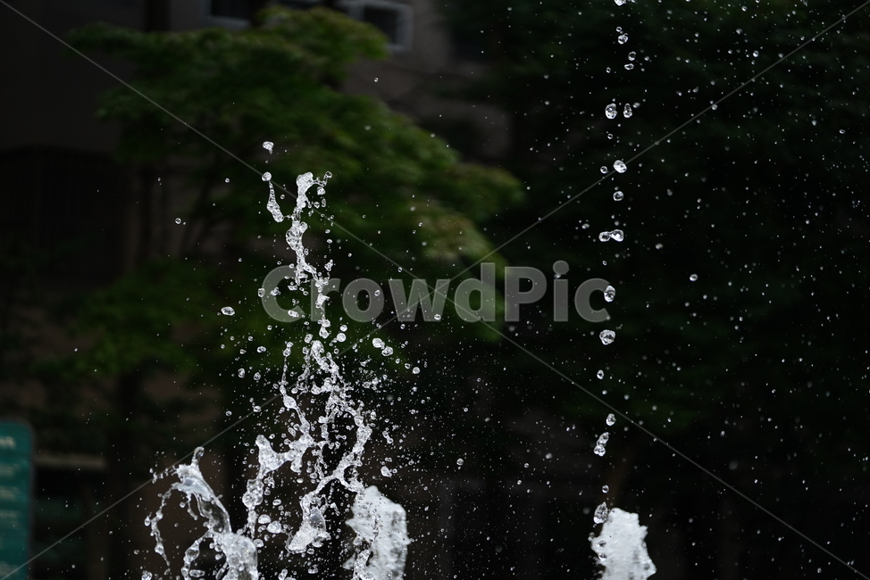 물,분수,워터,풍경,water,여름,계절,summer,season