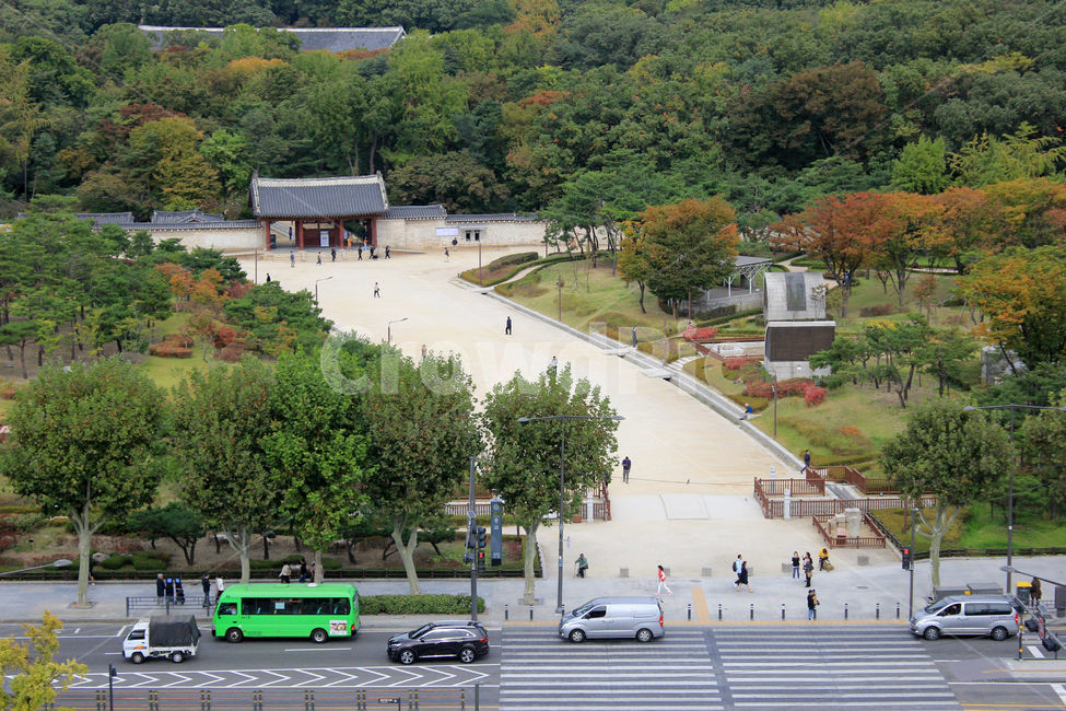 숲,도로,자동차,전통,교통,아스팔트,asphalt,road,tarmac,타맥,car,차,vehicle,tradition,automobile,transportation,랜드마크,landmark,tourist attraction,한국랜드마크,한국관광지,한국명소,korea landmark,korea tourist attraction