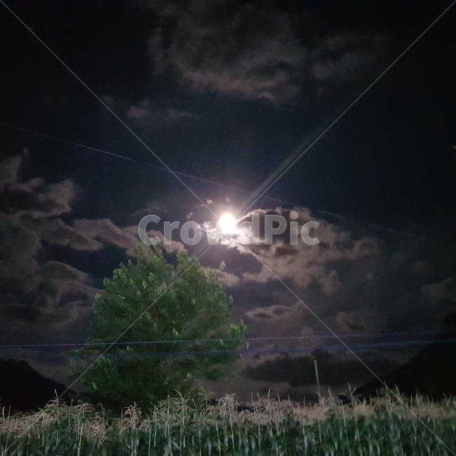 달,달빛,밤,새벽,느즈막히,늦은밤,저녁,자연,풍경,nature,landscape,야경,밤,nightscape,night,outdoors,옥외