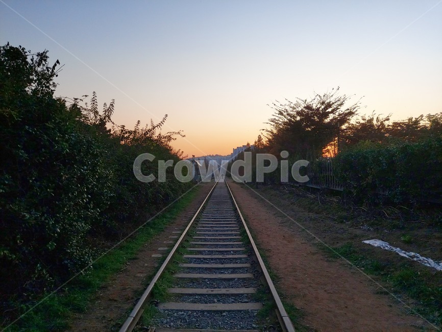 기차,traintrack,기찻길,rail,레일,교통,철도,railway,transportation